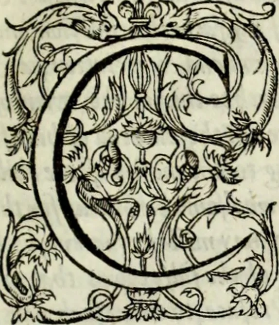 An illustration from The workes of the most high and mightie prince, Iames, by the grace of God, king of Great Britaine, France and Ireland, defender of the faith, &c., 1616, leaf 186