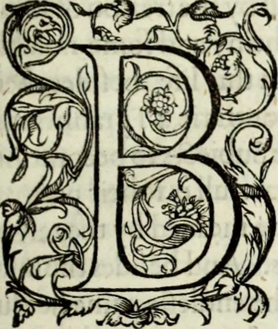 An illustration from The workes of the most high and mightie prince, Iames, by the grace of God, king of Great Britaine, France and Ireland, defender of the faith, &c., 1616, leaf 200