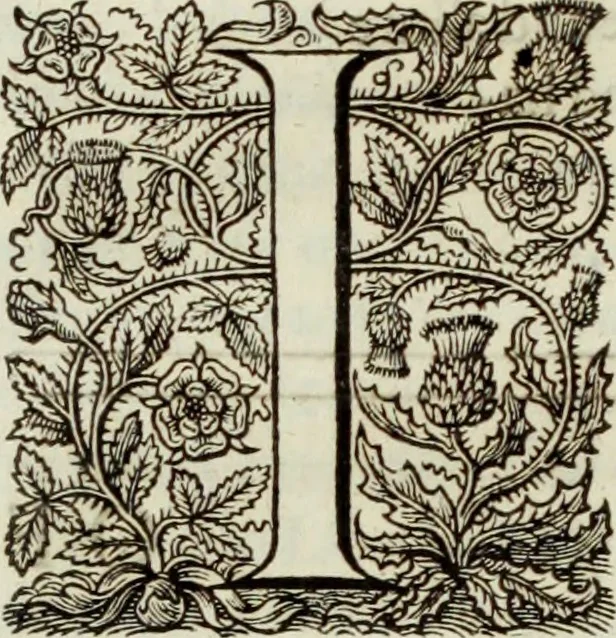 An illustration from The workes of the most high and mightie prince, Iames, by the grace of God, king of Great Britaine, France and Ireland, defender of the faith, &c., 1616, leaf 225