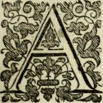 An illustration from The workes of the most high and mightie prince, Iames, by the grace of God, king of Great Britaine, France and Ireland, defender of the faith, &c., 1616, leaf 308