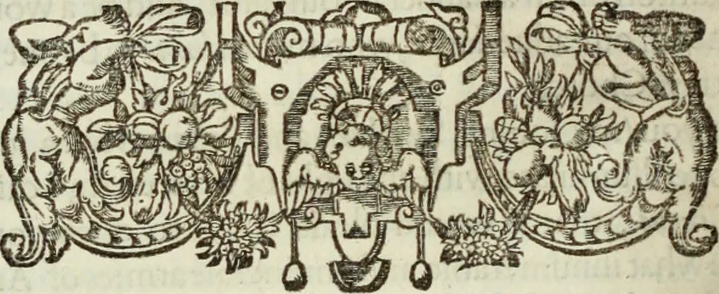 An illustration from The workes of the most high and mightie prince, Iames, by the grace of God, king of Great Britaine, France and Ireland, defender of the faith, &c., 1616, leaf 383