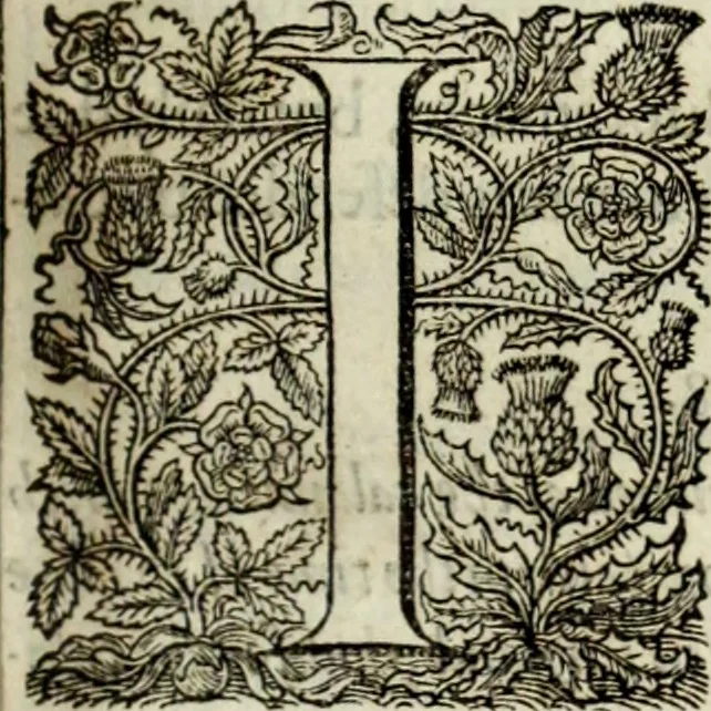 An illustration from The workes of the most high and mightie prince, Iames, by the grace of God, king of Great Britaine, France and Ireland, defender of the faith, &c., 1616, leaf 384