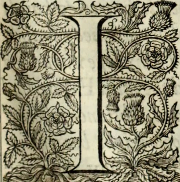 An illustration from The workes of the most high and mightie prince, Iames, by the grace of God, king of Great Britaine, France and Ireland, defender of the faith, &c., 1616, leaf 426