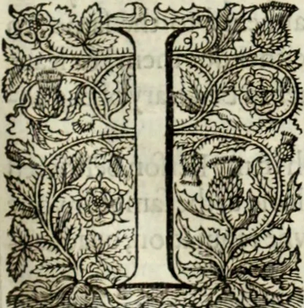 An illustration from The workes of the most high and mightie prince, Iames, by the grace of God, king of Great Britaine, France and Ireland, defender of the faith, &c., 1616, leaf 530