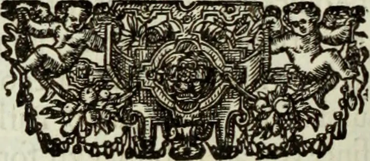An illustration from The workes of the most high and mightie prince, Iames, by the grace of God, king of Great Britaine, France and Ireland, defender of the faith, &c., 1616, leaf 553