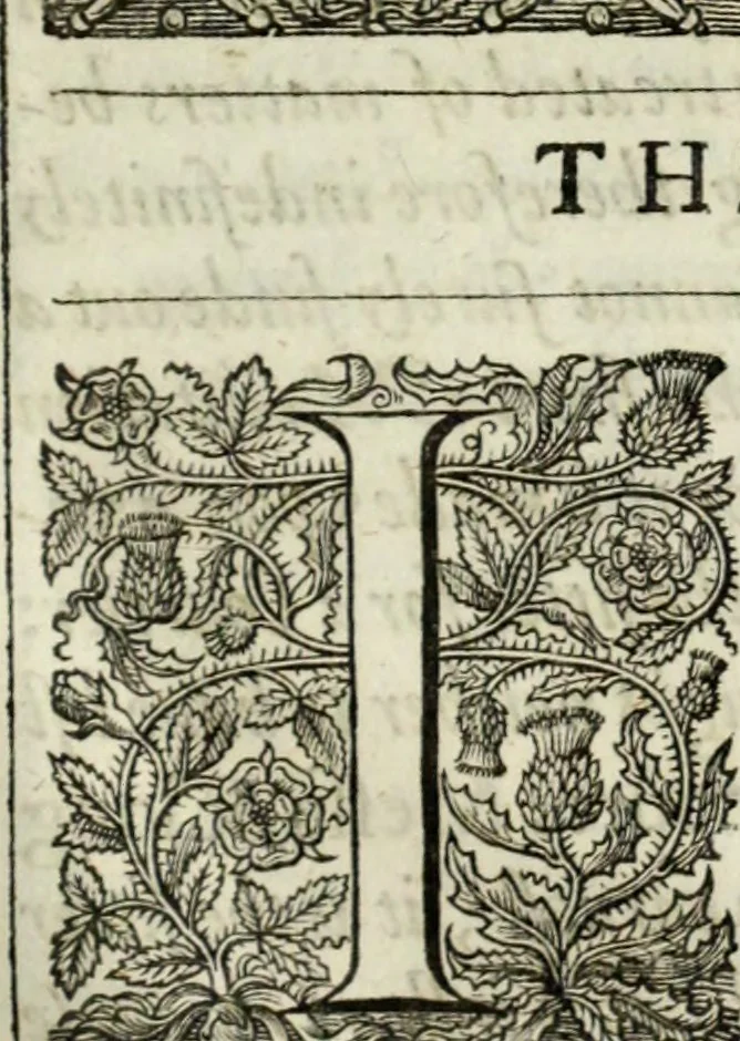 An illustration from The workes of the most high and mightie prince, Iames, by the grace of God, king of Great Britaine, France and Ireland, defender of the faith, &c., 1616, leaf 616