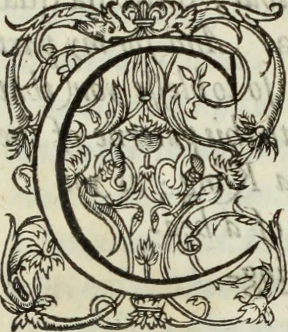 An illustration from The workes of the most high and mightie prince, Iames, by the grace of God, king of Great Britaine, France and Ireland, defender of the faith, &c., 1616, leaf 651