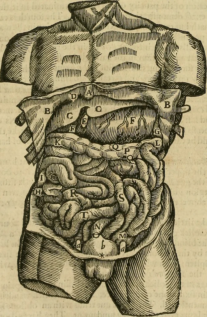 An illustration from The workes of that famous chirurgion Ambrose Parey :, 1649, leaf 107