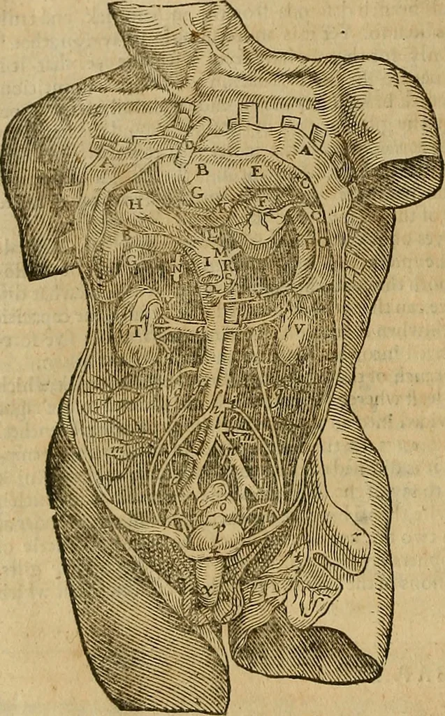An illustration from The workes of that famous chirurgion Ambrose Parey :, 1649, leaf 113