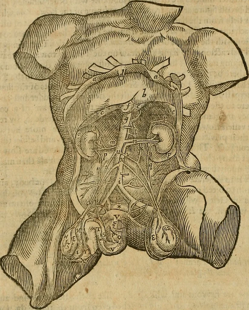 An illustration from The workes of that famous chirurgion Ambrose Parey :, 1649, leaf 119