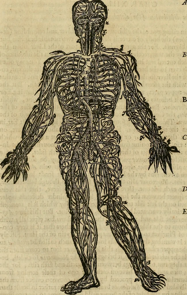 An illustration from The workes of that famous chirurgion Ambrose Parey :, 1649, leaf 141