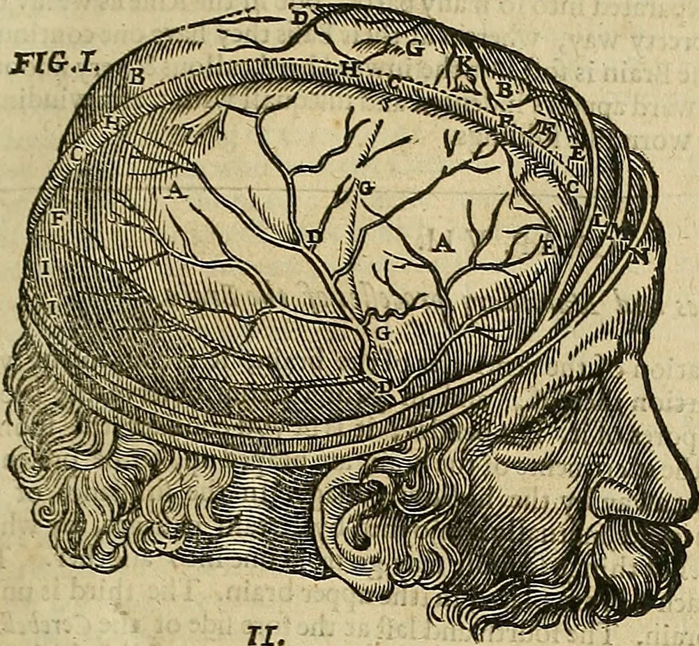 An illustration from The workes of that famous chirurgion Ambrose Parey :, 1649, leaf 154