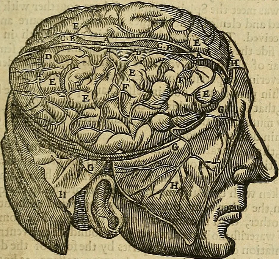 An illustration from The workes of that famous chirurgion Ambrose Parey :, 1649, leaf 154
