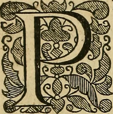An illustration from The workes of that famous chirurgion Ambrose Parey :, 1649, leaf 163