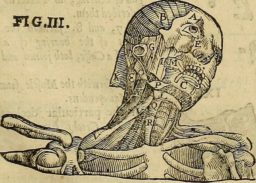 An illustration from The workes of that famous chirurgion Ambrose Parey :, 1649, leaf 172
