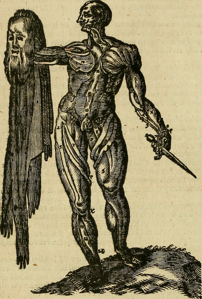 An illustration from The workes of that famous chirurgion Ambrose Parey :, 1649, leaf 219