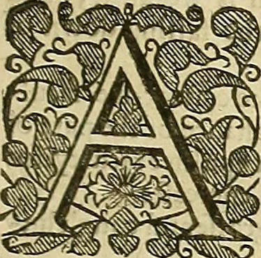 An illustration from The workes of that famous chirurgion Ambrose Parey :, 1649, leaf 220