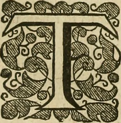 An illustration from The workes of that famous chirurgion Ambrose Parey :, 1649, leaf 251