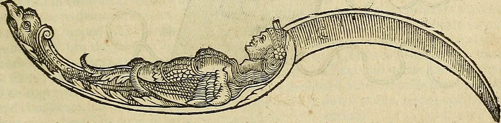 An illustration from The workes of that famous chirurgion Ambrose Parey :, 1649, leaf 258