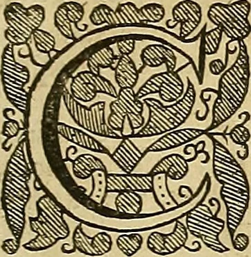An illustration from The workes of that famous chirurgion Ambrose Parey :, 1649, leaf 26