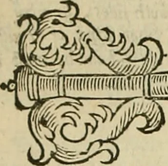 An illustration from The workes of that famous chirurgion Ambrose Parey :, 1649, leaf 267