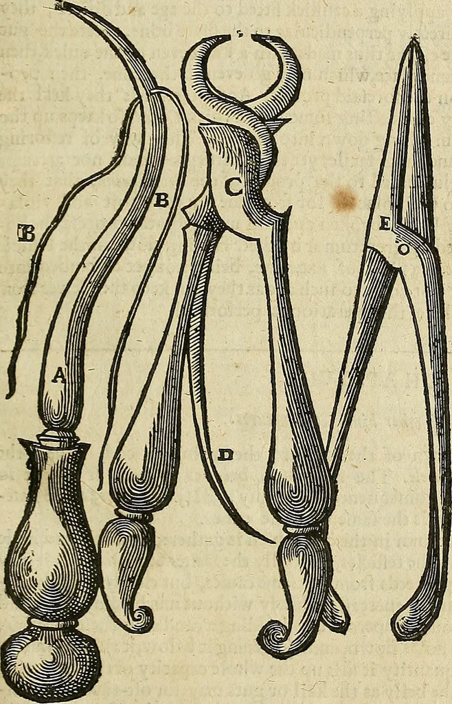 An illustration from The workes of that famous chirurgion Ambrose Parey :, 1649, leaf 268