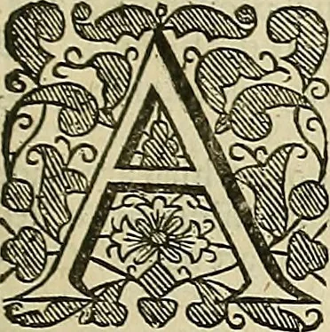 An illustration from The workes of that famous chirurgion Ambrose Parey :, 1649, leaf 276
