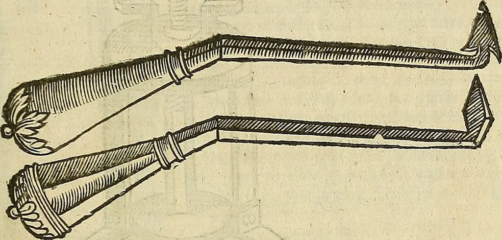An illustration from The workes of that famous chirurgion Ambrose Parey :, 1649, leaf 292