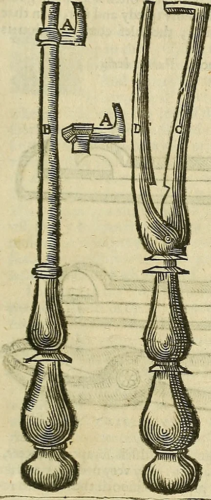 An illustration from The workes of that famous chirurgion Ambrose Parey :, 1649, leaf 294