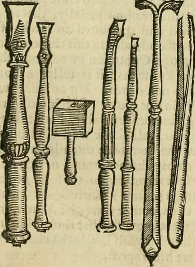 An illustration from The workes of that famous chirurgion Ambrose Parey :, 1649, leaf 295