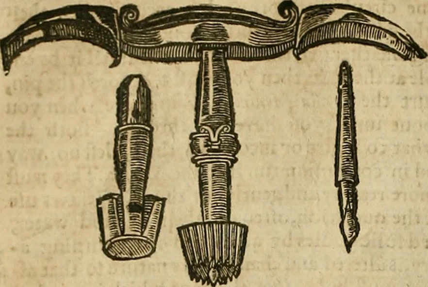 An illustration from The workes of that famous chirurgion Ambrose Parey :, 1649, leaf 309