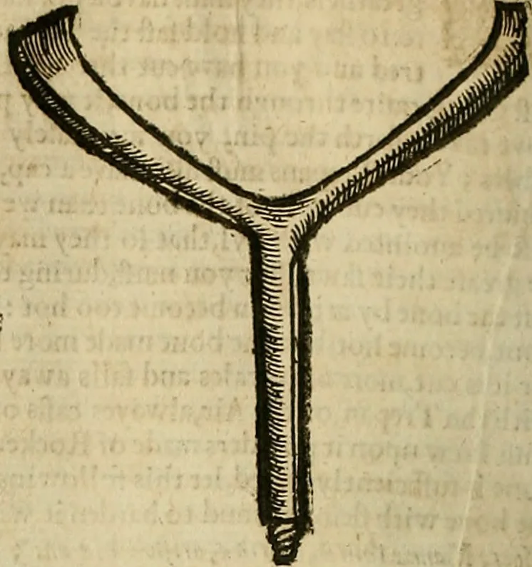 An illustration from The workes of that famous chirurgion Ambrose Parey :, 1649, leaf 309