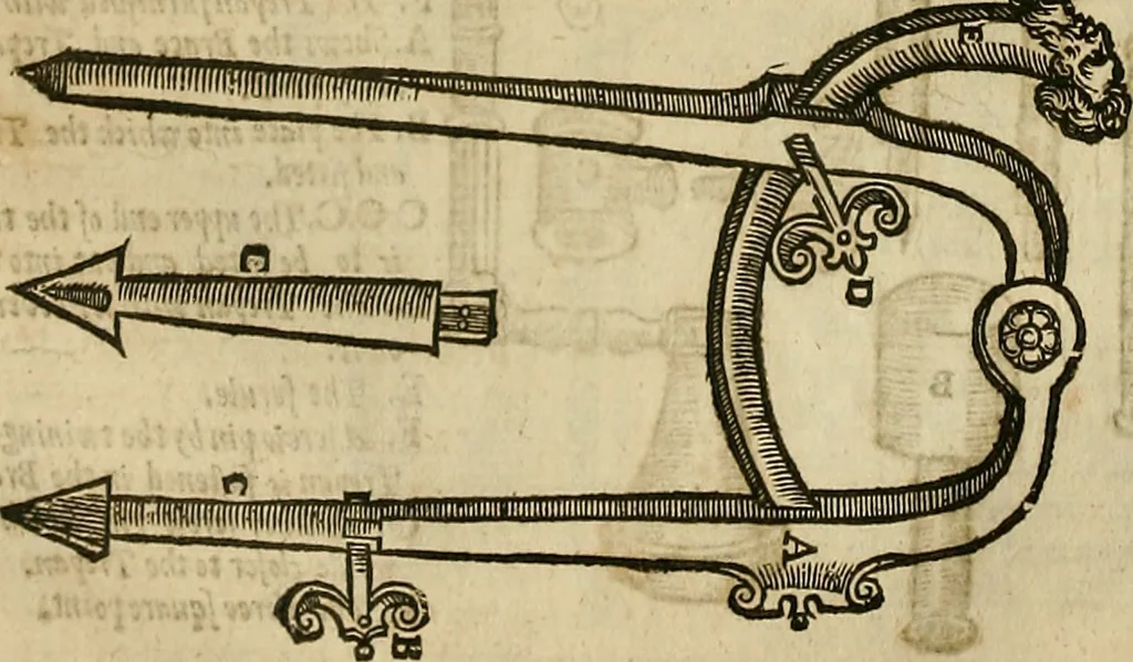 An illustration from The workes of that famous chirurgion Ambrose Parey :, 1649, leaf 309