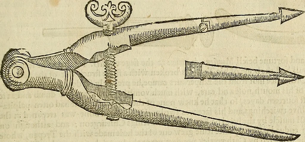 An illustration from The workes of that famous chirurgion Ambrose Parey :, 1649, leaf 310