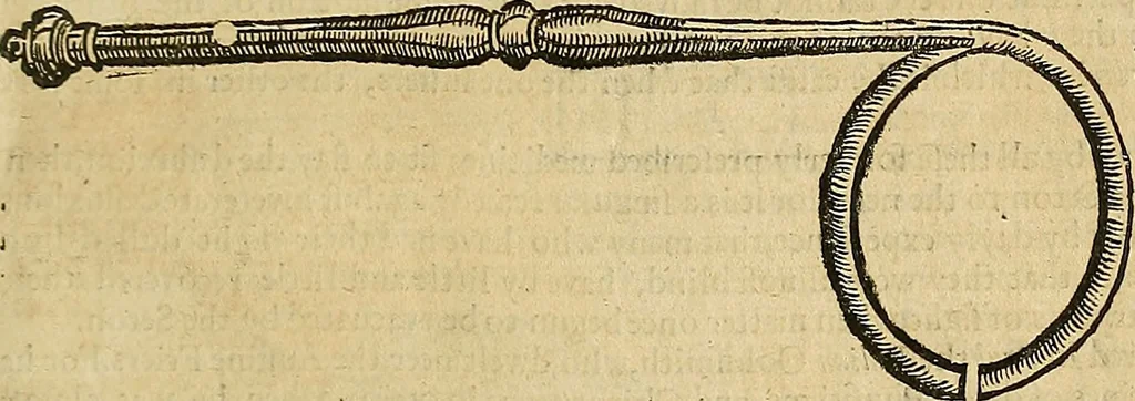 An illustration from The workes of that famous chirurgion Ambrose Parey :, 1649, leaf 316