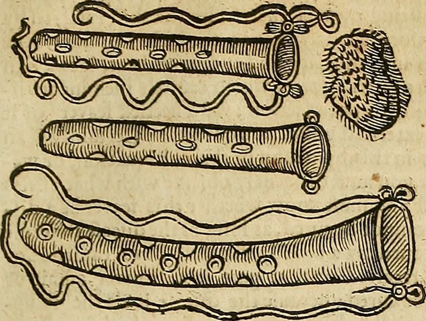 An illustration from The workes of that famous chirurgion Ambrose Parey :, 1649, leaf 324