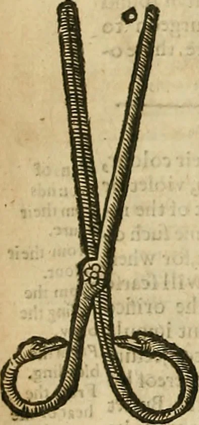 An illustration from The workes of that famous chirurgion Ambrose Parey :, 1649, leaf 341