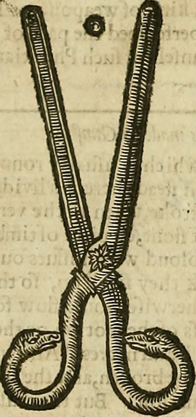 An illustration from The workes of that famous chirurgion Ambrose Parey :, 1649, leaf 341