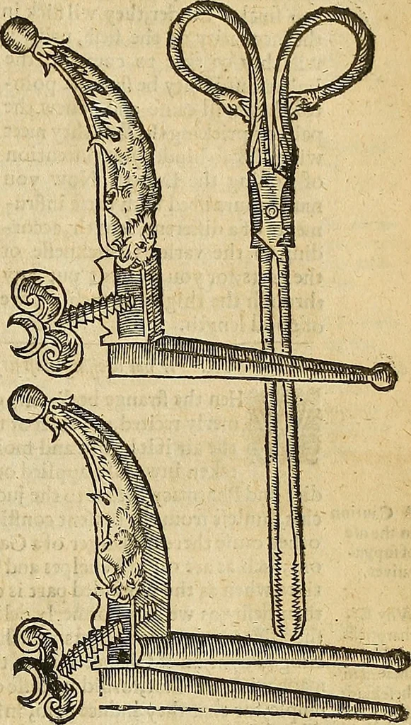 An illustration from The workes of that famous chirurgion Ambrose Parey :, 1649, leaf 342