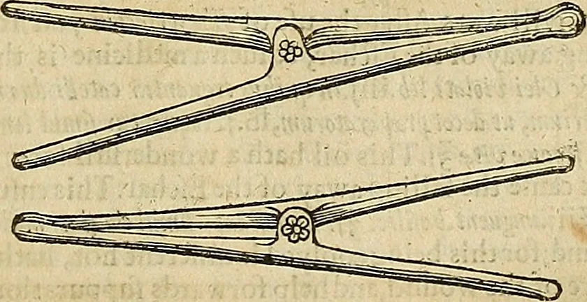 An illustration from The workes of that famous chirurgion Ambrose Parey :, 1649, leaf 342