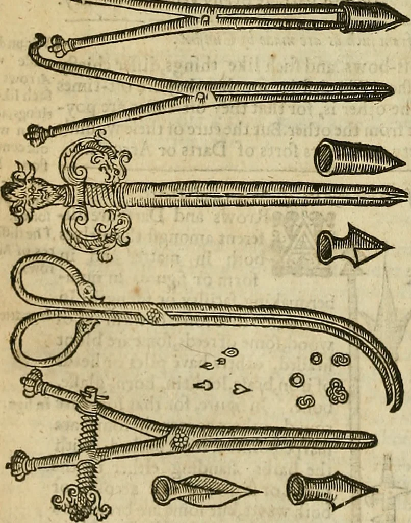 An illustration from The workes of that famous chirurgion Ambrose Parey :, 1649, leaf 353