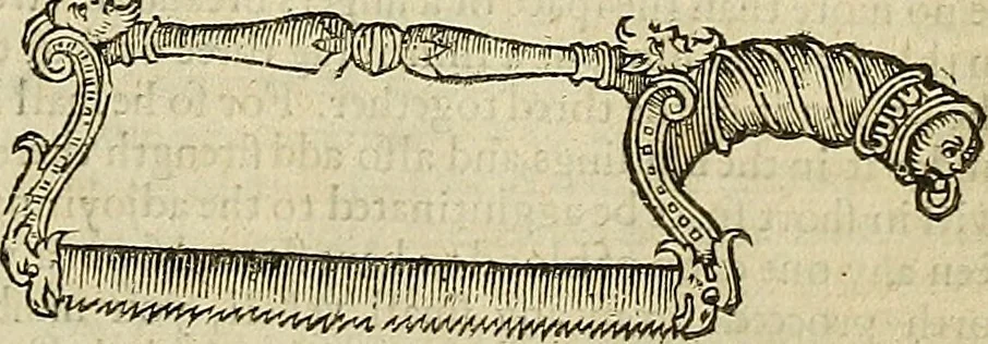 An illustration from The workes of that famous chirurgion Ambrose Parey :, 1649, leaf 364