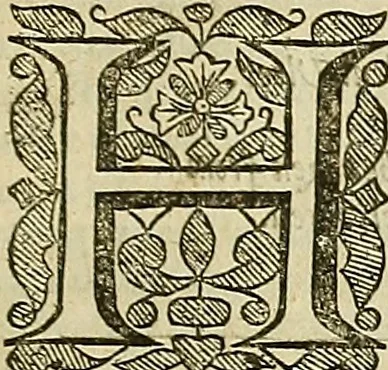 An illustration from The workes of that famous chirurgion Ambrose Parey :, 1649, leaf 368