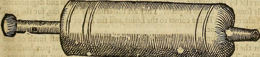 An illustration from The workes of that famous chirurgion Ambrose Parey :, 1649, leaf 376