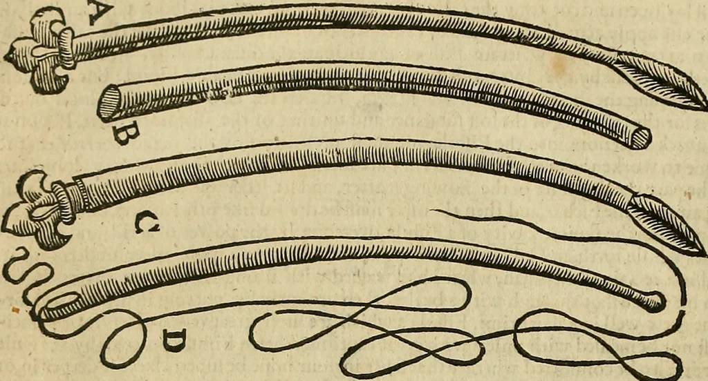 An illustration from The workes of that famous chirurgion Ambrose Parey :, 1649, leaf 381