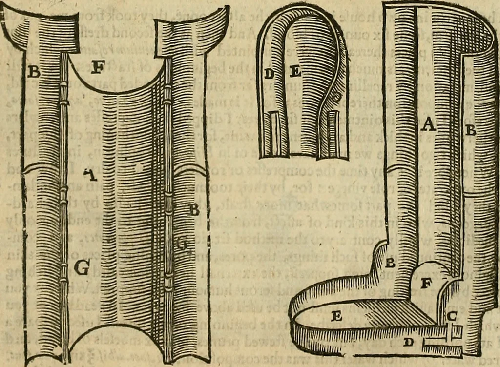 An illustration from The workes of that famous chirurgion Ambrose Parey :, 1649, leaf 401