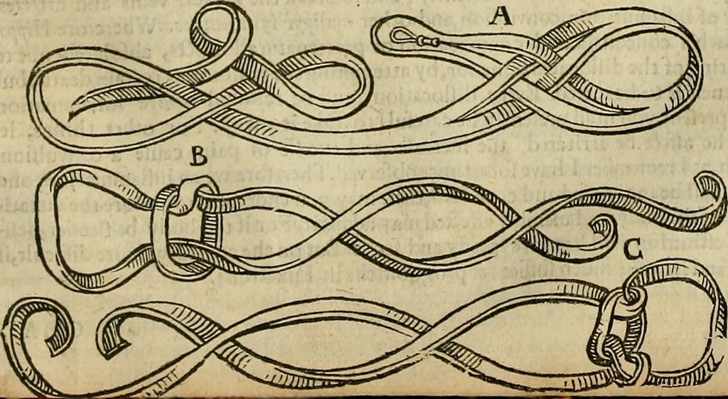 An illustration from The workes of that famous chirurgion Ambrose Parey :, 1649, leaf 407