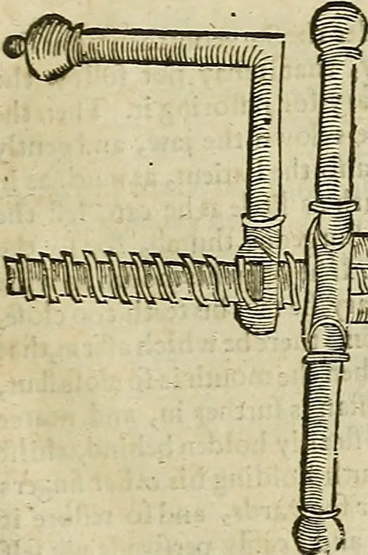 An illustration from The workes of that famous chirurgion Ambrose Parey :, 1649, leaf 408