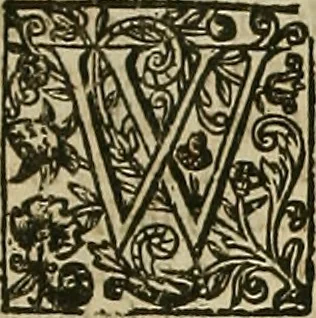 An illustration from The workes of that famous chirurgion Ambrose Parey :, 1649, leaf 423