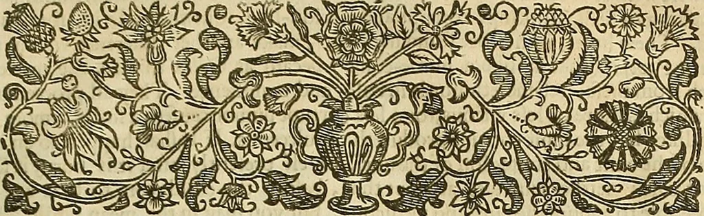 An illustration from The workes of that famous chirurgion Ambrose Parey :, 1649, leaf 434